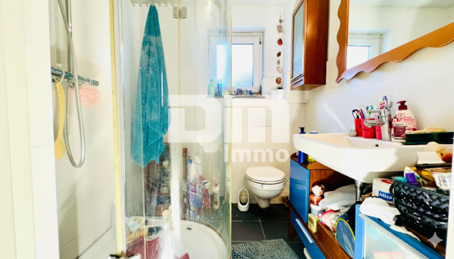 Umfangreich saniertes EFH inkl. PV-Anlage, Terrasse, Wintergarten und Garage + Panoramablick - EG / OG Bad / Dusche